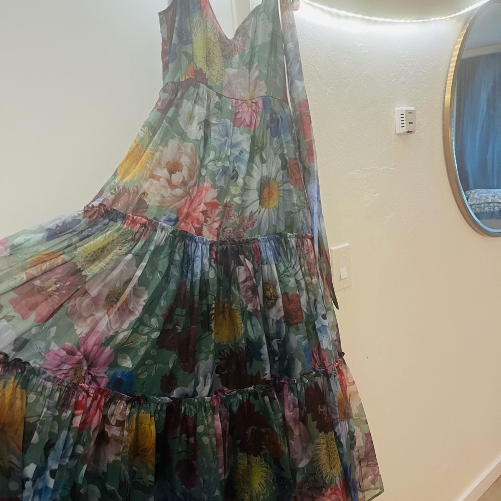 Francesca's Collections Pink and Green Ruffled Tiered Maxi Dress